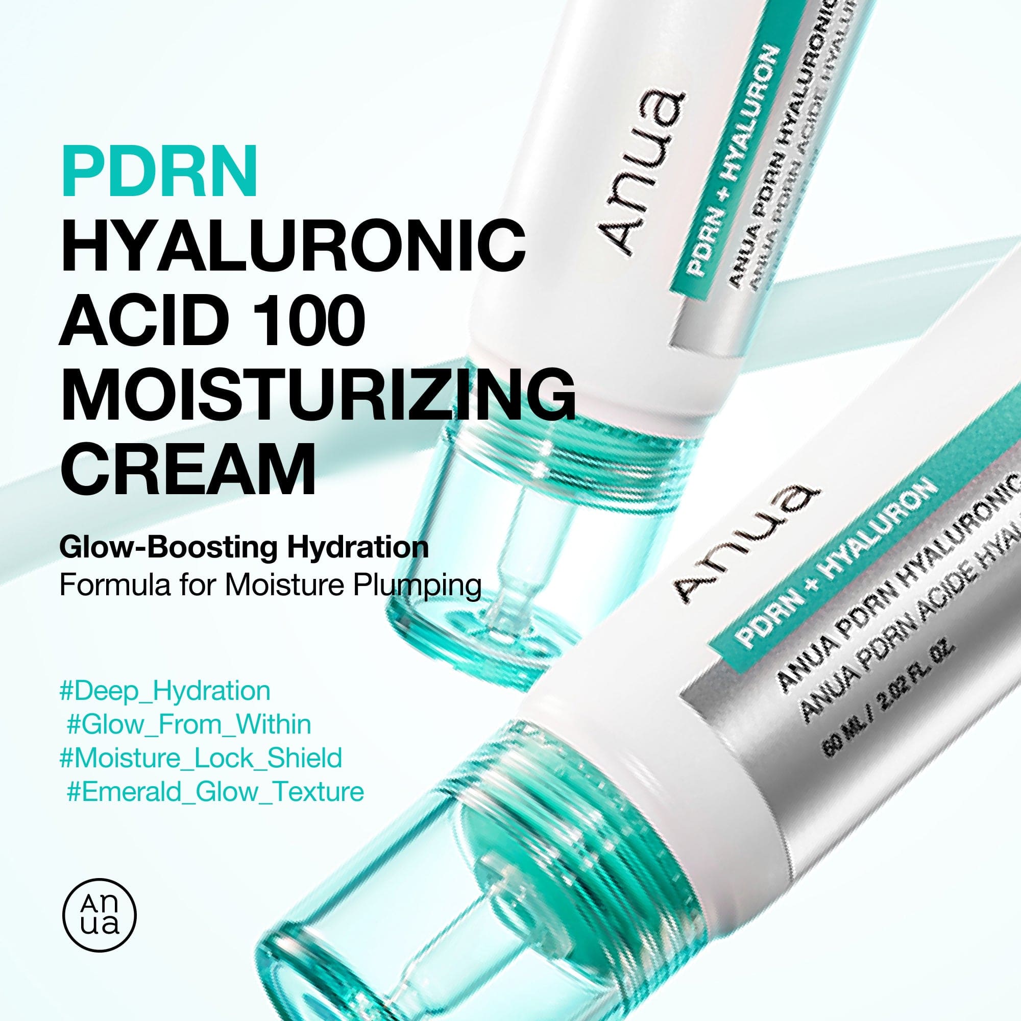 Anua US Moisturizer PDRN Hyaluronic Acid 100 Moisturizing Cream